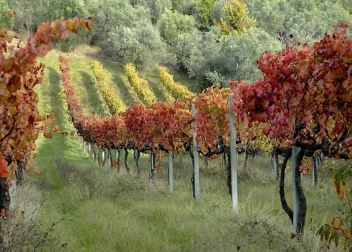 Palazzo Sant'angelo לינה וארוחת בוקר ספולטו