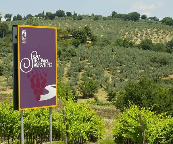 Bed & Breakfast Palazzo Sant'angelo